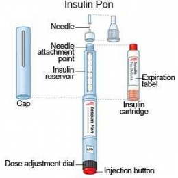 Bagian-bagian Insulin Pen (Sumber: drugs.com)