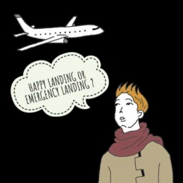 Happy Landing or Emergency Landing (gambar milik auntyflo.com)