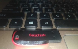 Flashdisk SanDisk (Gambar Pribadi)
