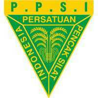 08-ppsi-5abf1b275e137325b8160a44.jpg