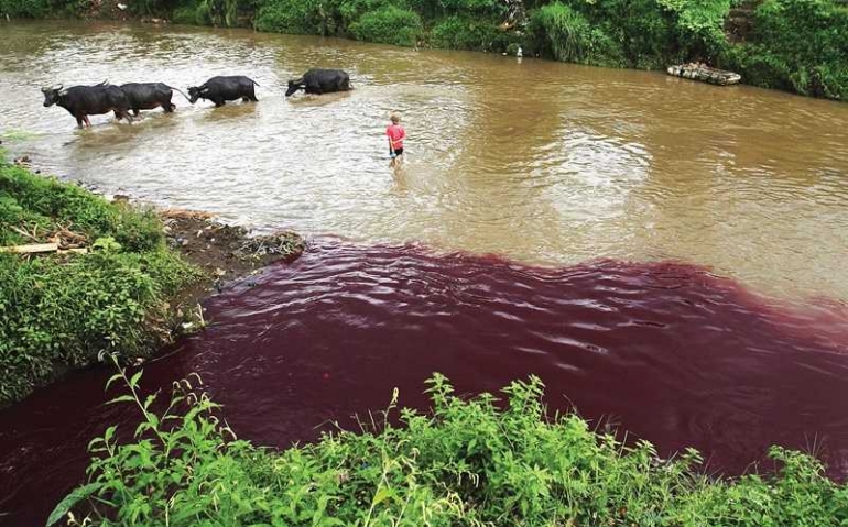 Sungai Citarum. Sumber : Lihat.co.id