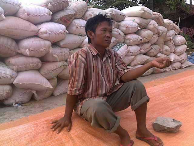 Seorang petani sedang menunggu pembayaran dari bandar gabah. @2013, Meneer Panqi