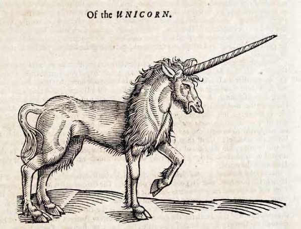 Gambar: Illustrasi Unicorn (Sumber: marieguillaumet.com)