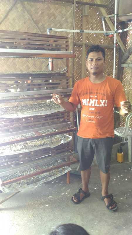 Tips Meningkatkan Produksi Telur Burung Puyuh Halaman 1