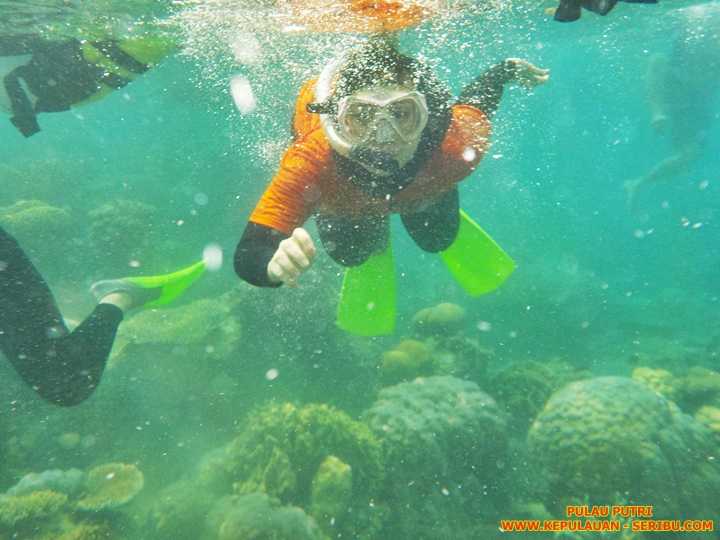 Snorkeling Di Pulau Putri