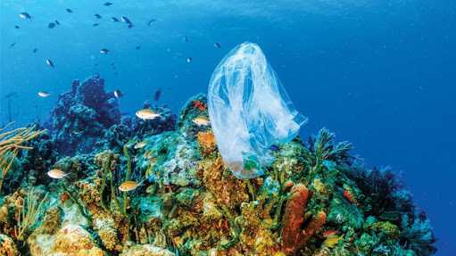 Australia, negara yang mengambil langkah penting untuk mencegah plastik masuk ke laut, telah mengalami penurunan polusi plastik pada karang mereka. Dok.pribadi