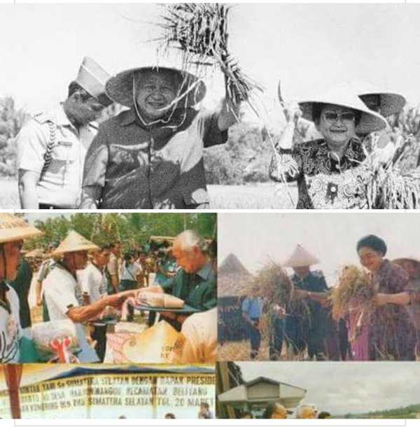 Peningkatan produksi padi di zaman Bapak Soeharto. Sumber: https://donipengalaman9.wordpress.com
