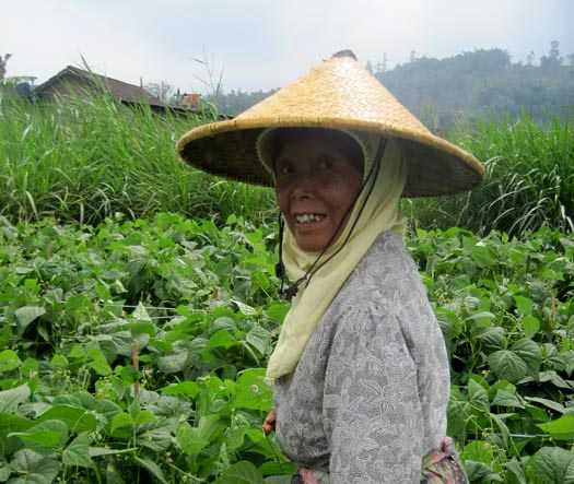Caping, Topi Petani Tradisional dari Bambu Halaman 1 - Kompasiana.com