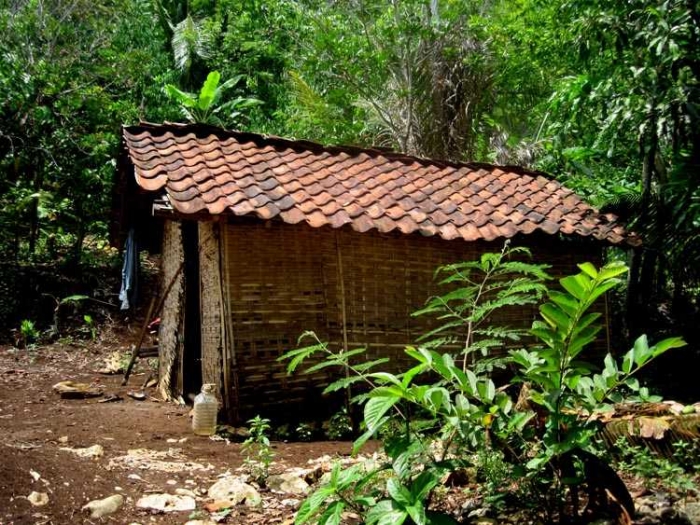  Omah Gedhek Rumah Berdinding Anyaman  Bambu  oleh Mbah 