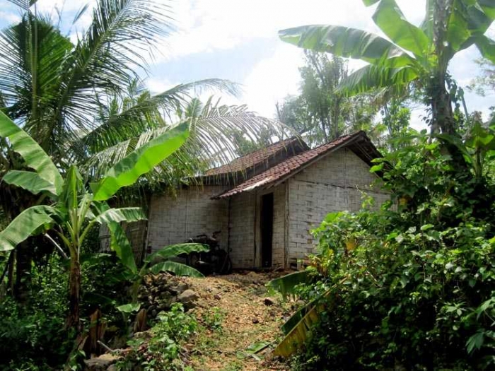  Omah Gedhek Rumah Berdinding Anyaman  Bambu  oleh Mbah 