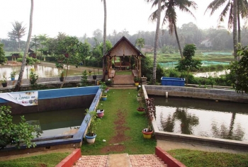 Mengintip Wisata Sehat Dan Hemat Di Taman Herbal Insani