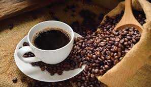 Produksi kopi luwak Indonesia menjanjikan (pict : jadiberita.com)