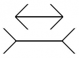 Muller-Lyer. Source: http://bit.ly/2EUSHWT