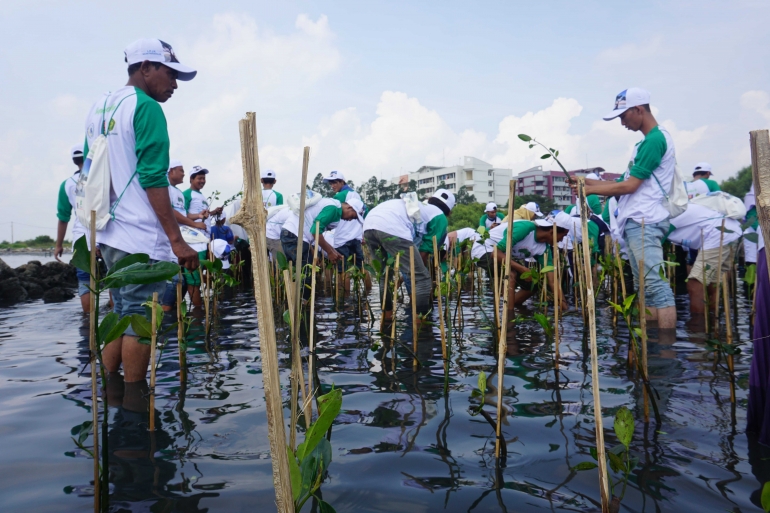 Nelayan dan Pemuda Volunteer Ikut Aksi Tanam Mangrove dalam Peringati Hari Bumi di Pesisir Marunda, Jakarta Utara, 22 April 2018 (doc.PR LPJKN)