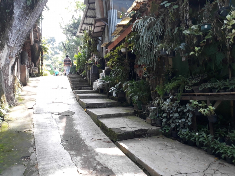 Jalan dari dari Menuju Kampung Putih Lewat Belakang Pasar Bunga|Dokumentasi Pribadi