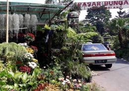 Pasar Bunga Kota Malang|Dokumentasi Pribadi