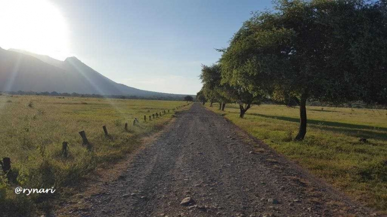 Savana Bekol berlatar G. Baluran (dok pri)