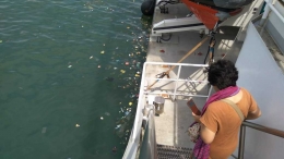 Sampah yang ada di sisi kapal Rainbow Warrior saat ada di Pelabuhan Tanjung Priok (dok.windhu)