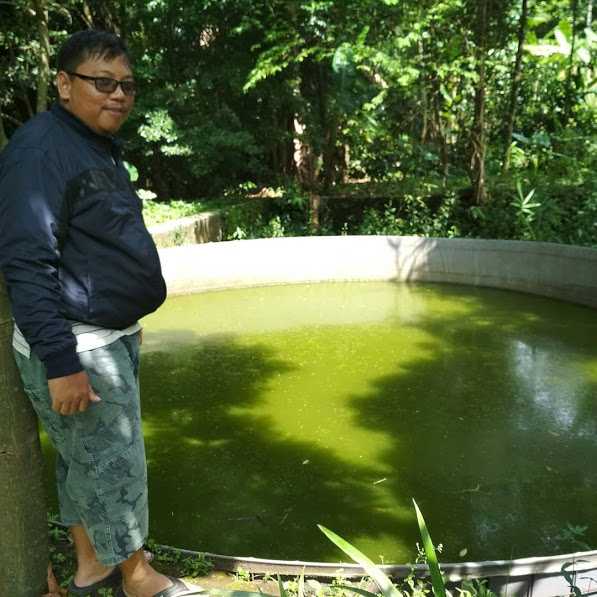 Cara Cespleng Menghilangkan Bau Pada Kolam Ikan Halaman All Kompasiana Com Cara Cespleng Menghilangkan Bau Pada Kolam Ikan Halaman All Kompasiana Com