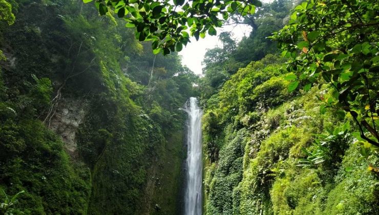 Coban Glotak, air terjun di tengah hutan lereng Gunung Kawi (dok. pri).