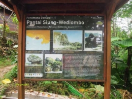 Fenomena geologi Siung-Wediombo (dok pri)