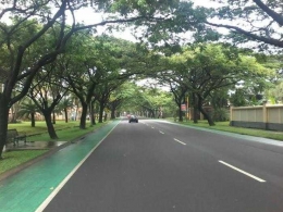Jalan Raya di Kawasan Alam Sutera. Source: Alam-Sutera.com.