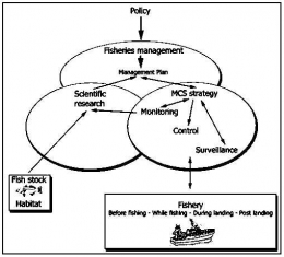Gambar 3 Hubungan Utama antara MCS dan Manajemen Perikanan (Sumber: http://www.fao.org)