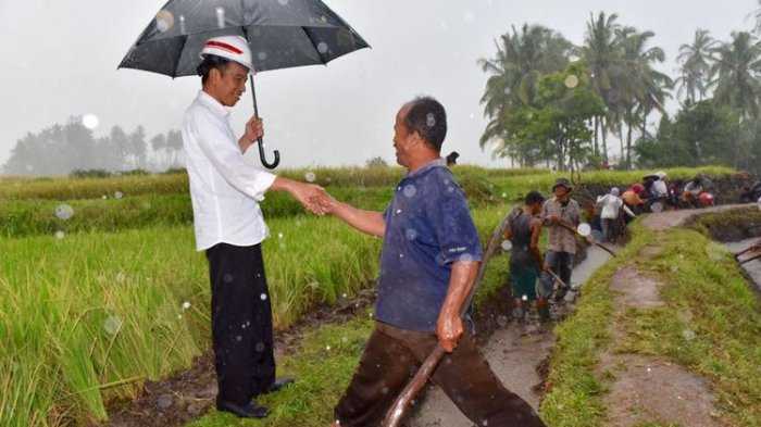 Sikap spontan Jokowi setiap kali bertemu dan berkomunikasi dengan rakyat menyulitkan kita untuk menyimpulkannya sebagai pencitraan. Sumber: http://kaltim.tribunnews.com/2018/02/09/hujan-deras-dan-becek-jokowi-tetap-blusukan-ke-sawah