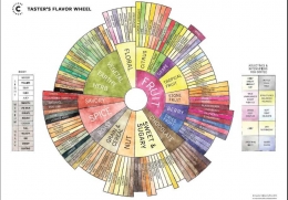 coffee taster's flavour wheel (scanews.com)
