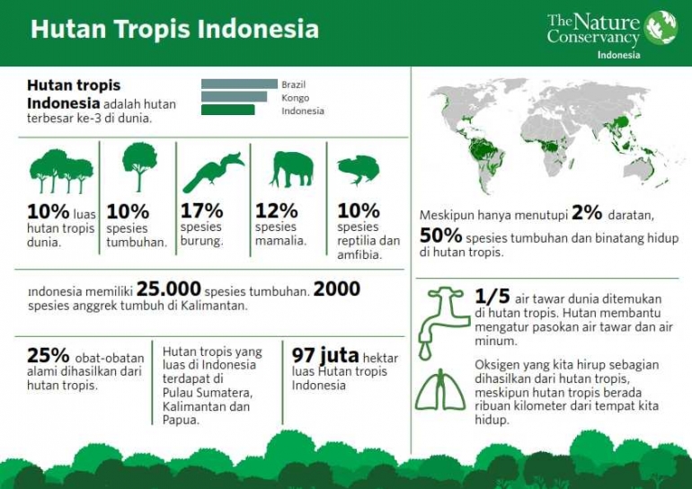  Sumber Gambar: http://www.tamboramuda.org/2016/07/infografis-hutan-tropis-indonesia.html