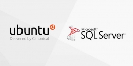 Ilustrasi - https://blog.ubuntu.com/2016/11/16/microsoft-loves-linux-ubuntu-available-on-sql-server-public-preview