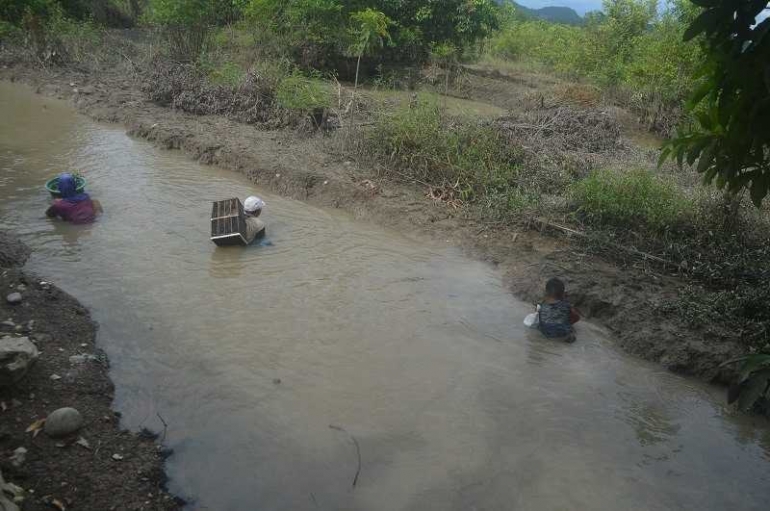 Warga tengah bakacal di saluran irigasi di Luau Ambarai. (foto : akhmad husaini)