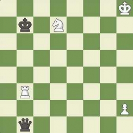 Chess.com - Pencapresan Jokowi