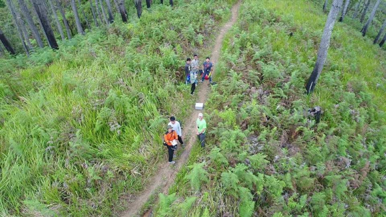 Peter (berkaos hijau muda) dan tim USU melakukan penelitian di hutan sambil berpuasa (dok. pribadi 20 Mei 2018)