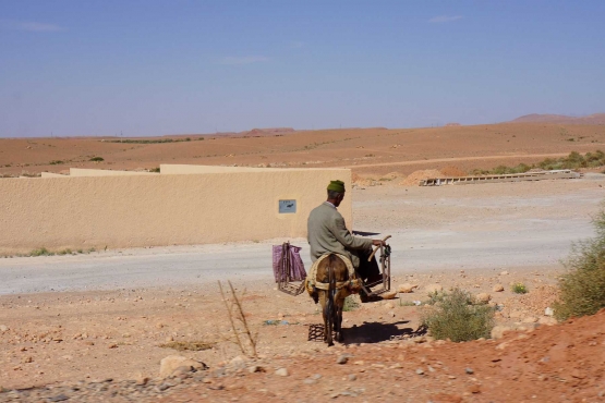 Keledai alat angkut setia Marokko (dokumentasi pribadi)