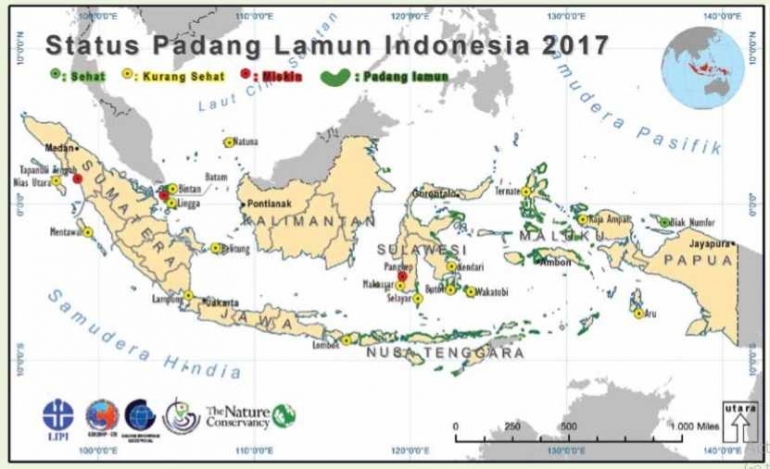 Status Lamun di Indonesia menurut hasil riset LIPI (Sumber: Booklet Status Lamun 2017, LIPI)