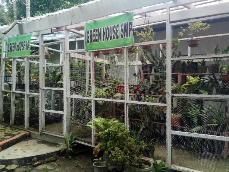 Green house di dekolah itu (foto : pribadi)