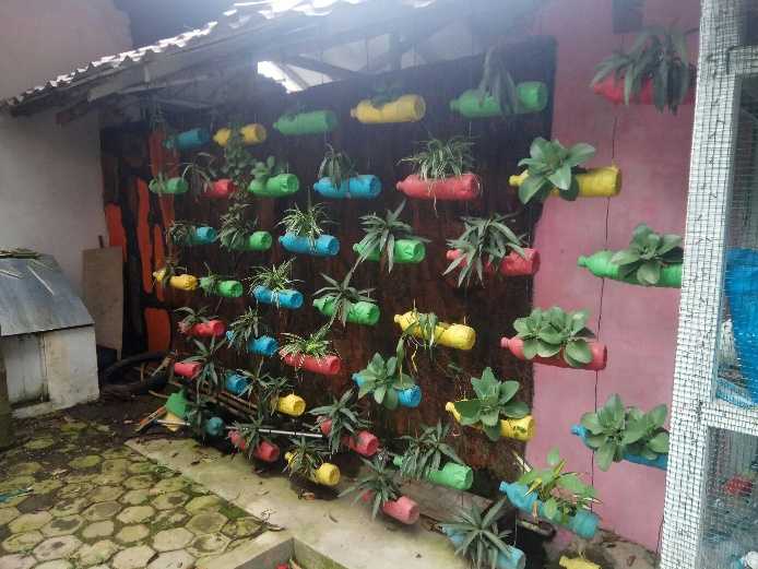 Hiasan dinding berupa tumbuhan hijau (foto : pribadi)