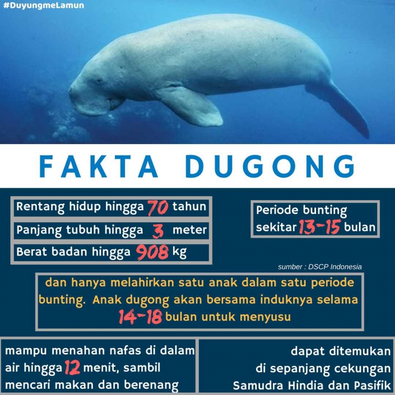 4-5b0c0db1f1334472ca4cf994.png