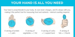 Hand Measure System. (Sumber: Precision Nutrition)