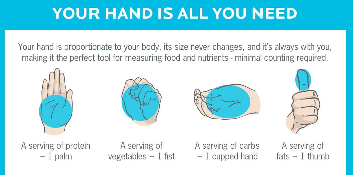 Hand Measure System. (Sumber: Precision Nutrition)