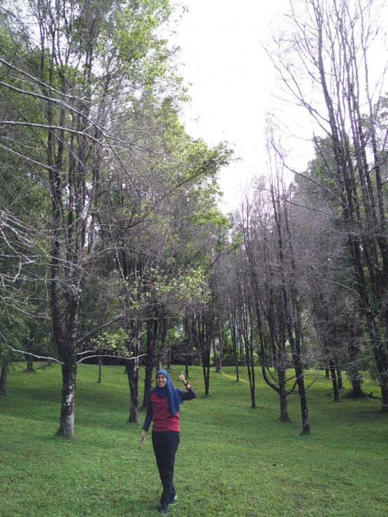 Ternate Benteng Danau Gunung Gamalama Kebun Cengkeh  