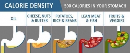 Densitas kalori. Ilustrasi: healthline.com
