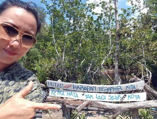 Mangrove (Dok. Pribadi)