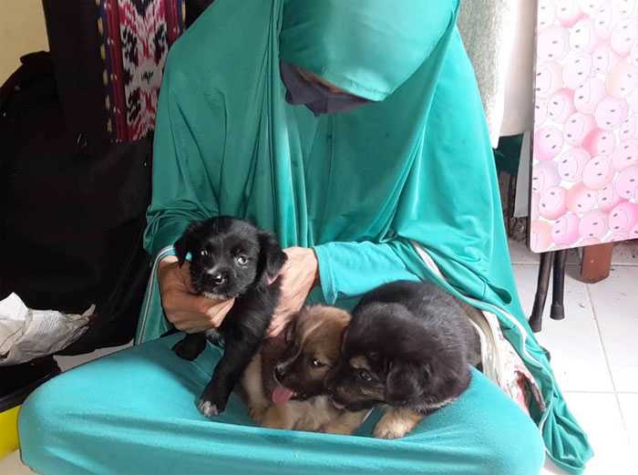 Hesti Sutrisno dan anak-anakk anjing yang diselamatkannya. (Foto: Screenshot Instagram hestisutrisno)