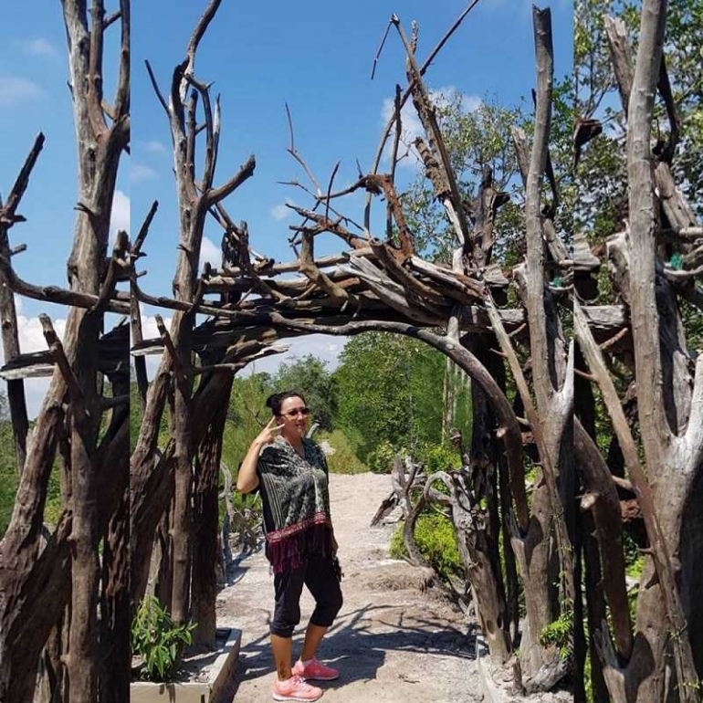 Mangrove (Dok. Pribadi)