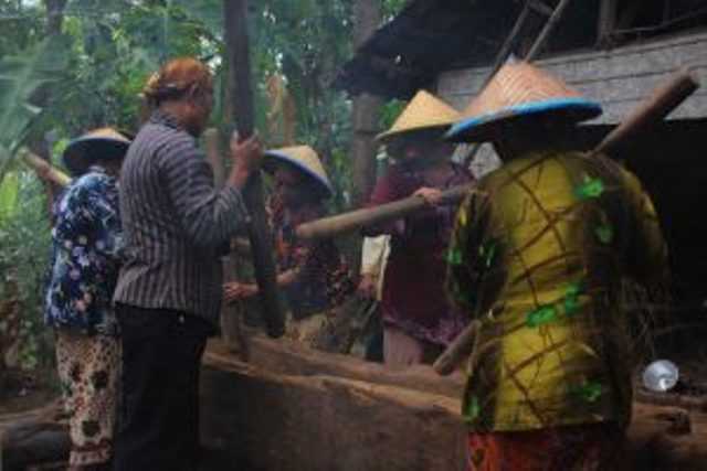 Tradisi Nutu Padi yang Masih Dijalankan Warga Desa Pagung, KEcamatan Semen, Kabupaten Kediri (foto: Luana Yunaneva)