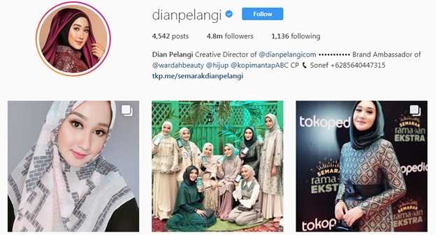 Salah satu Fashion Blogger populer Indonesia (Sumber: Instagram @dianpelangi/screenshoot)