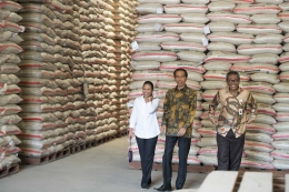 Presiden Jokowi didampingi Menteri BUMN Rini Soemarno (kiri) dan Dirut Perum Bulog Djarot Kusumayakti (kanan) saat meninjau stok beras di Gudang Beras Perum Bulog, di Jakarta. (www.jurnalasia.com)