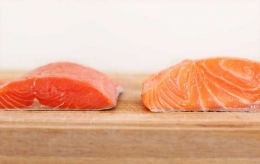 Perbedaan gradasi warna ikan salmon liar dan hasil peternakan (Photo, oecfood)